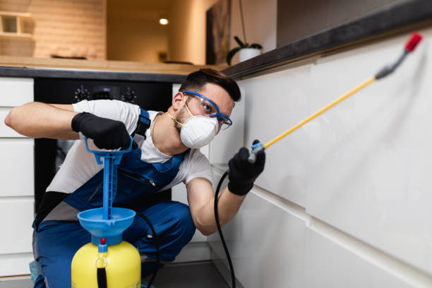 Best Flea Control Services  in Breinigsville, PA