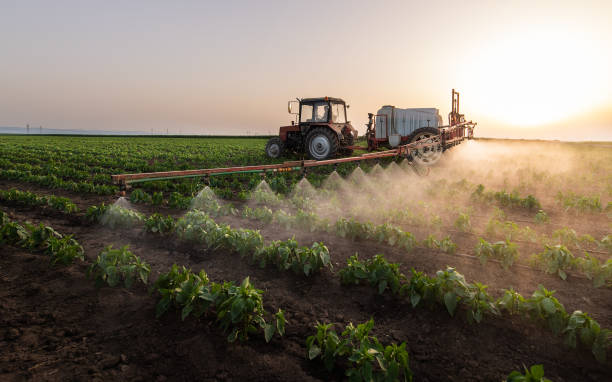 Best Mosquito Control Services  in Breinigsville, PA