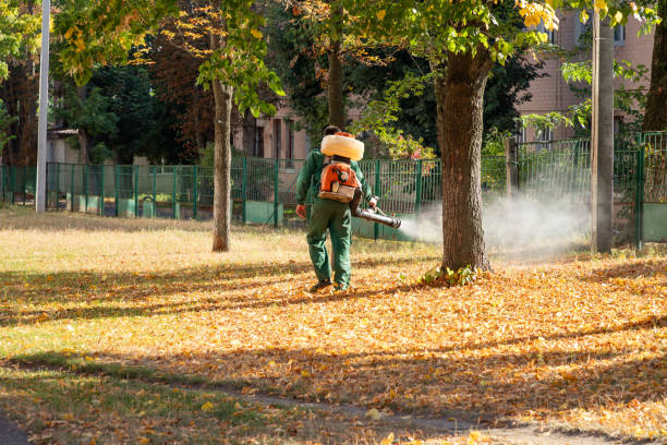 Professional Pest Control in Breinigsville, PA