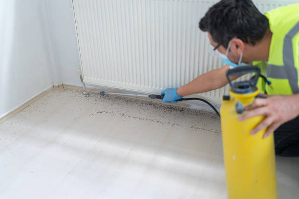 Best Best Pest Control Companies  in Breinigsville, PA